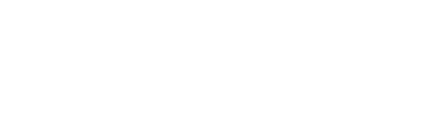 Vanessa Vibes Design